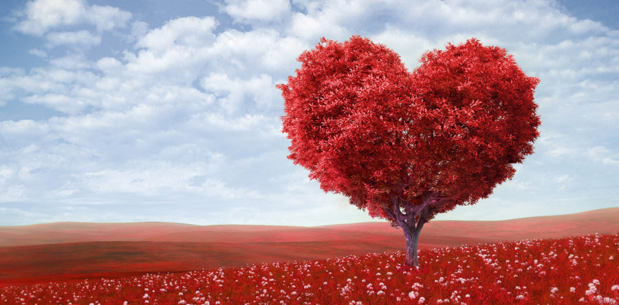 探訪做公益＊賞國境の南的美